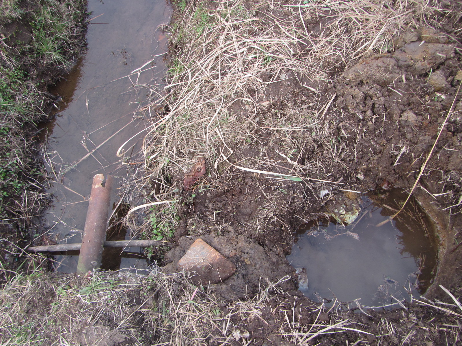 メダカ川 メダカが生息しやすいように、池を作り、水温を上げます