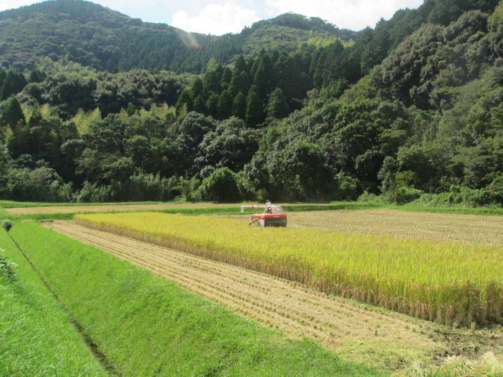 R6.10.10 水田 米刈状況です。