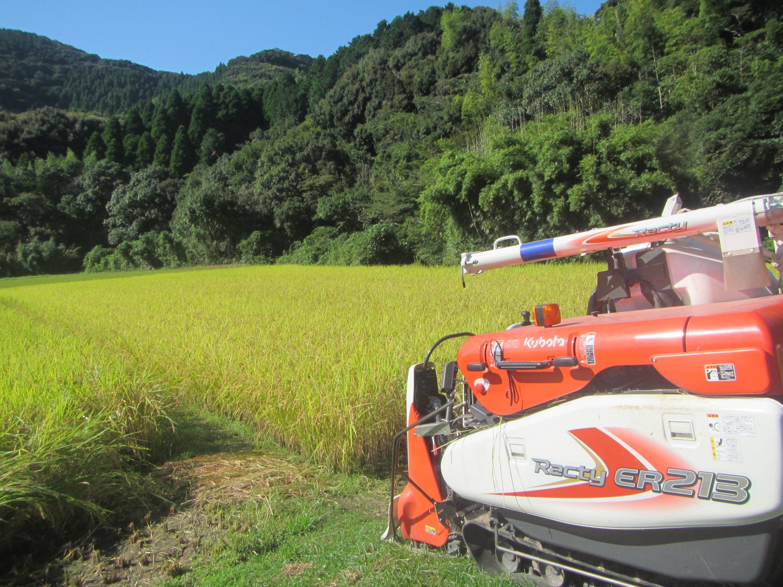 R7.10月13日・14日 水田 米刈しました。